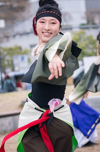 京都さくらよさこい2016 よさこいチーム「庵」