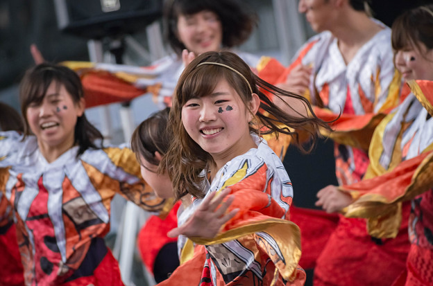 京都さくらよさこい2016 和歌山大学よさこいサークル「和歌乱」