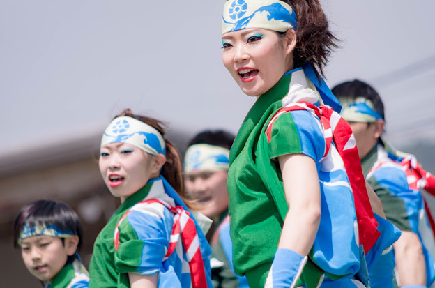 賤岳春乱舞2016 近江笑人
