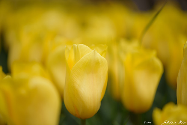 D75_1220