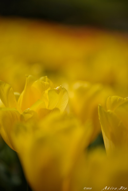 D75_1236