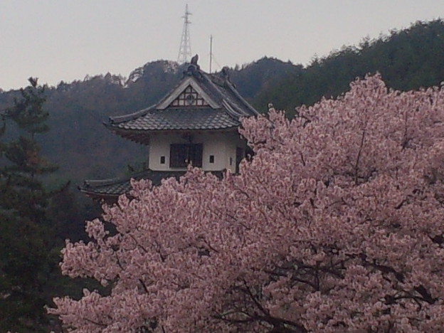 写真: DSC_0658