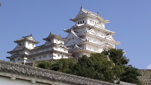 写真: 6
