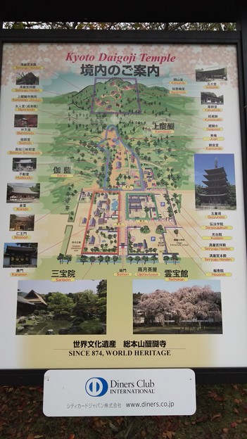 写真: 10