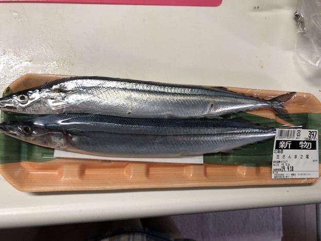 2019.9.16　初秋刀魚