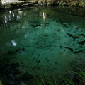 Photos: 889 神秘的な碧の泉 泉が森