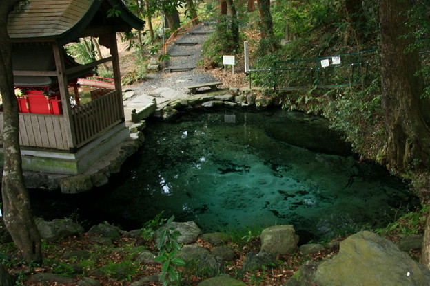 Photos: 888 泉神社 泉が森