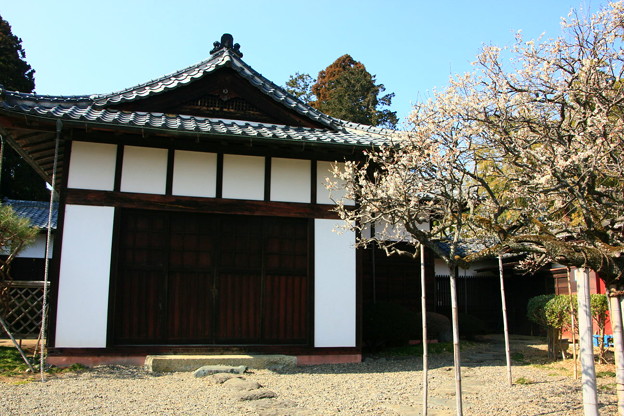 Photos: 暇修館