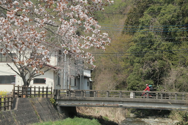 Photos: 761 上諏訪橋 鮎川