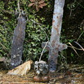 Photos: 722 小豆洗不動尊の湧水