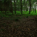 Photos: 162 長者山遺跡