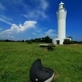 Photos: 896 古房地公園のトトロっぽい何か