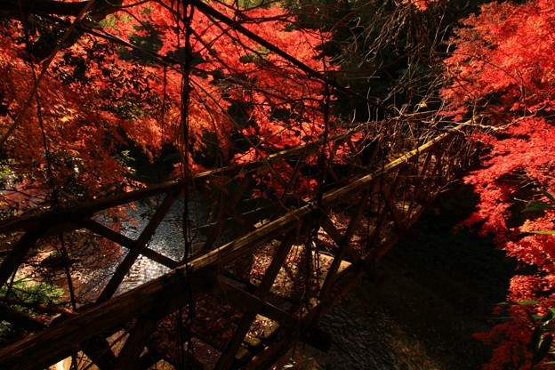 Photos: 528 中里の吊り橋