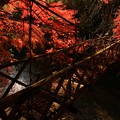 Photos: 560 中里の吊り橋