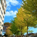 Photos: 728 茨城大学 日立キャンパス