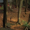 107 堅破山 甲石 釈迦堂
