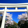 906 大甕神社