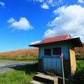 986 久慈川の地蔵堂
