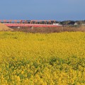 Photos: 954 久慈川の赤い橋