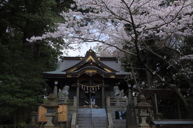 Photos: 189 艫神社