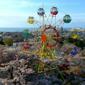 Photos: 081 かみね公園の桜