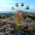 081 かみね公園の桜