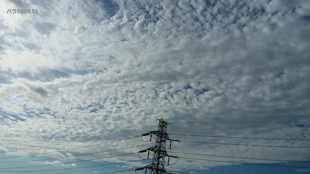 ウロコ雲と高圧鉄塔♪