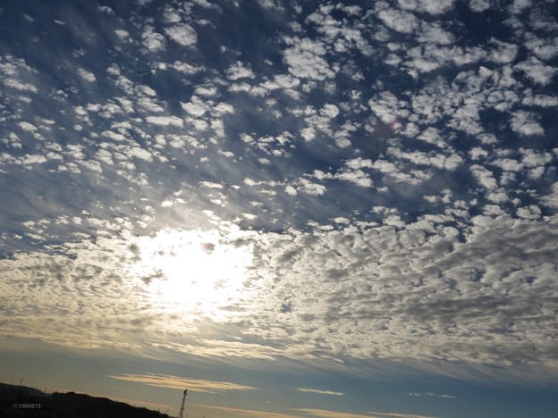 遅い朝陽とウロコ雲（2）