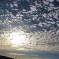 遅い朝陽とウロコ雲（2）