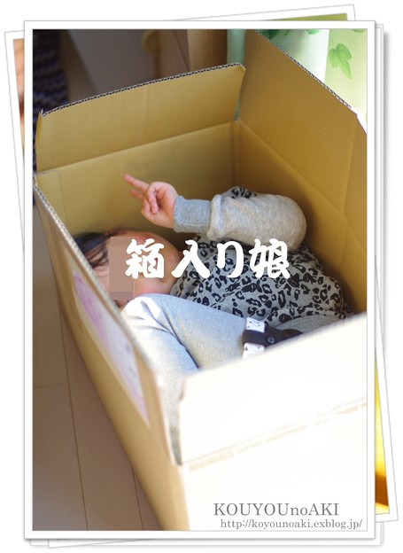 IMGP7770-1