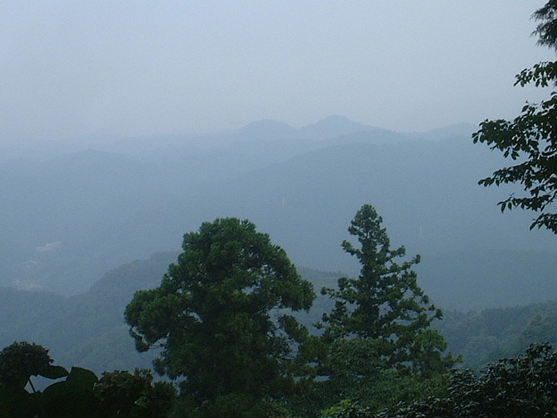 HDSCF0021 (7)