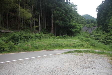 0813Tg101