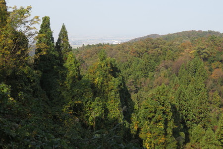 0946Oi106