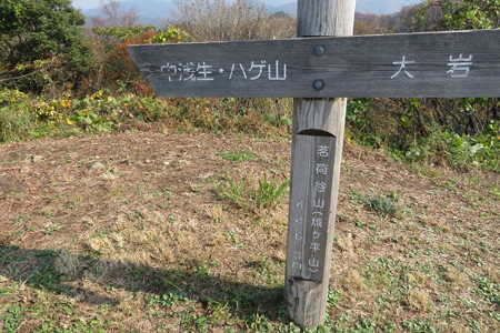 1038Oi132