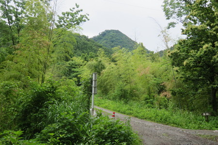 Thh106