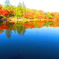 湖面と紅葉