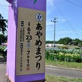 Photos: 浅舞公園　あやめまつり 2018-06-25_28