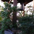 源覚寺汎太平洋の鐘