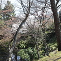 Photos: 円山公園1