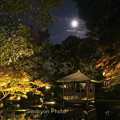 Photos: 満月（フルビーバームーン）の夜に