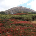 Photos: 旭岳と紅葉