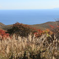 Photos: 海向山の紅葉