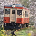 いすみ鉄道 普通列車 3D (キハ20 1303)