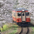 いすみ鉄道 普通列車 8D (キハ20 1303)