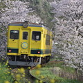 Photos: いすみ鉄道 普通列車 52D