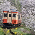 いすみ鉄道 普通列車 53D (キハ20 1303)