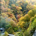 田代から湯沢への紅葉風景