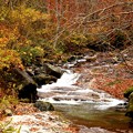 秋の照葉峡の渓流D