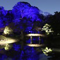 Photos: ブルーの色彩の六義園庭園
