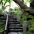 Photos: 報国寺の階段風景